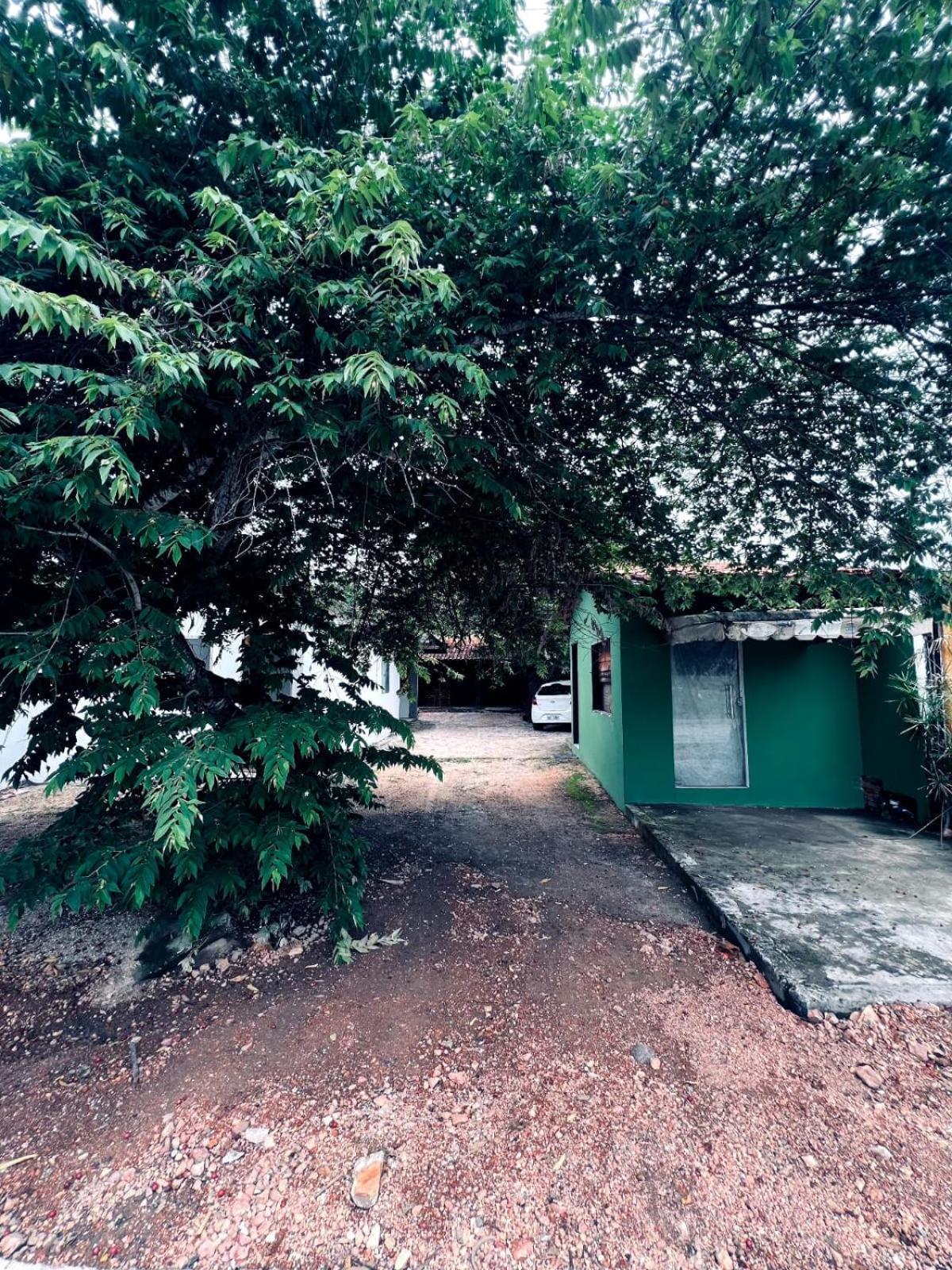 Casa Tamboril Apartment São Jorge Екстериор снимка